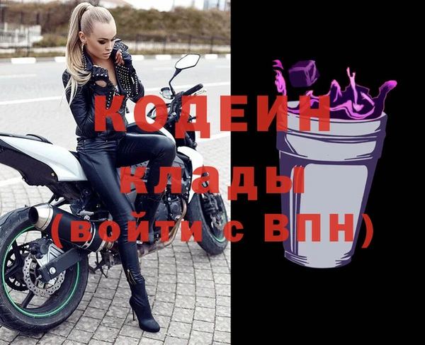 МДПВ Пересвет