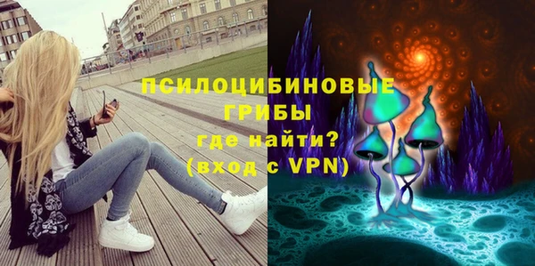 PSILOCYBIN Баксан
