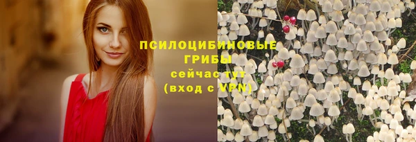 соль ск Балабаново