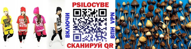 mega ссылка  Змеиногорск  Псилоцибиновые грибы Magic Shrooms  цена наркотик 